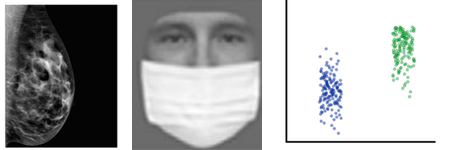 Scaling up and applying visual cognition